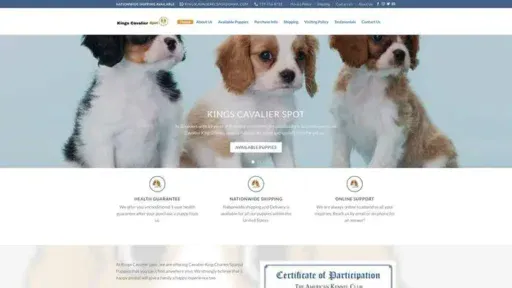 Screenshot of