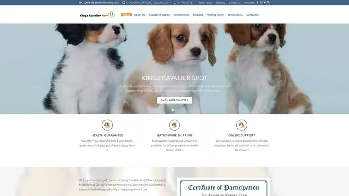 Screenshot of