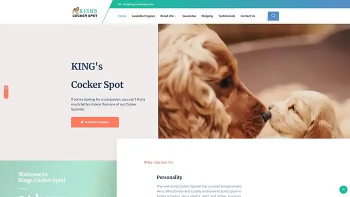 Screenshot of