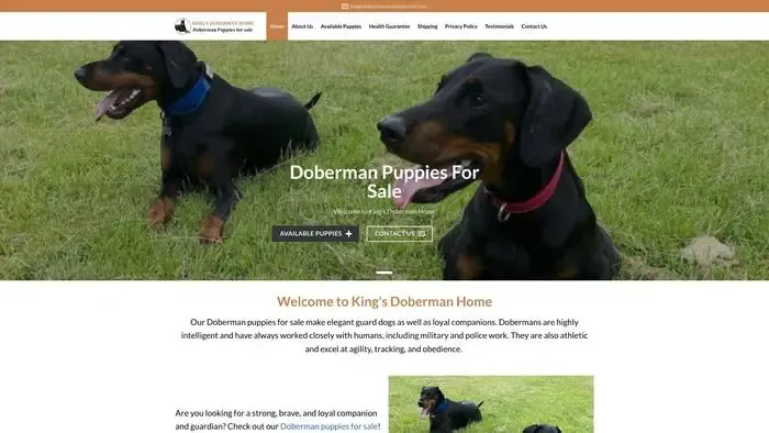 Screenshot of