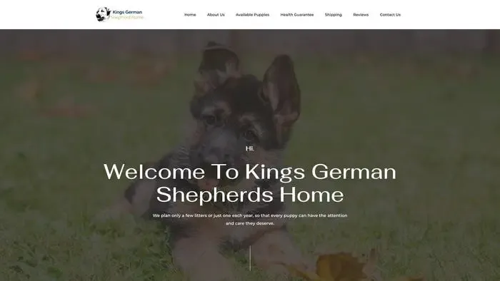 Screenshot of