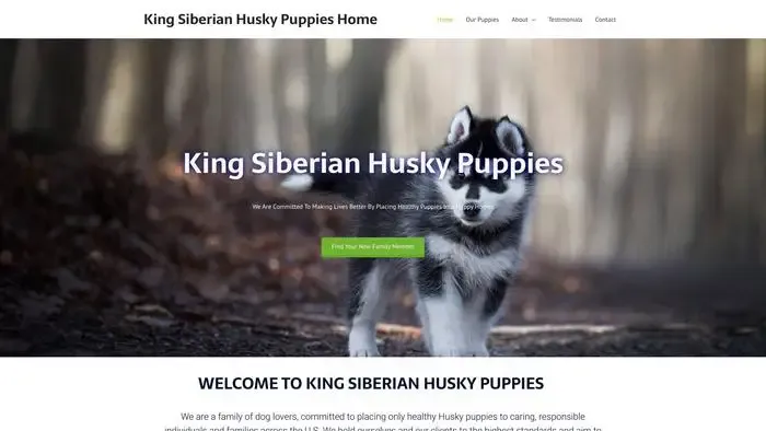 Screenshot of