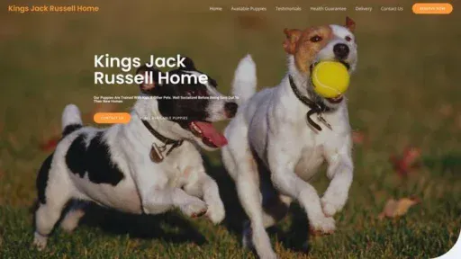Screenshot of|