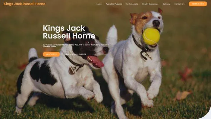Kingsjackrussellhome