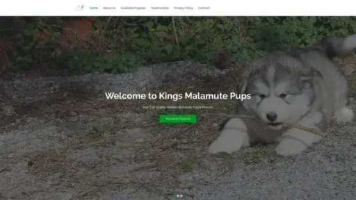 Screenshot of