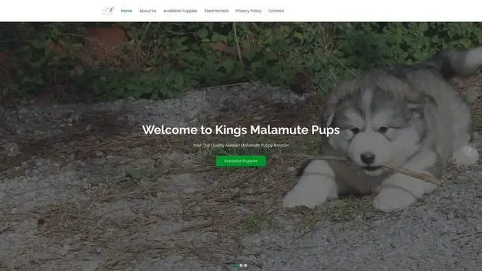 Screenshot of