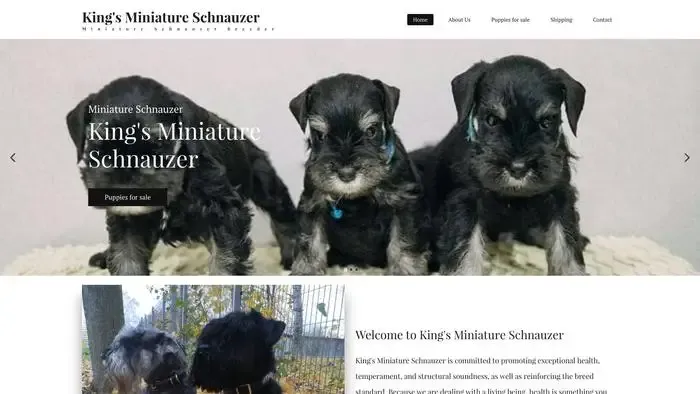 Screenshot of
