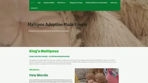 Screenshot of