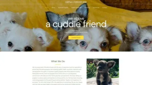Screenshot of||