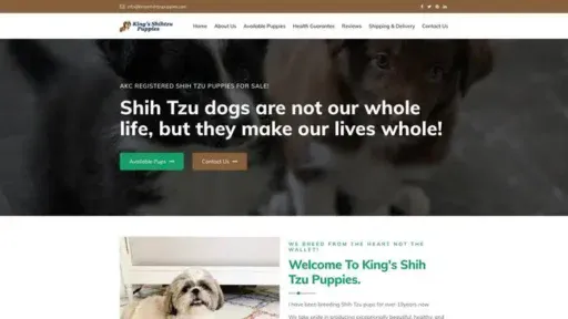 Screenshot of