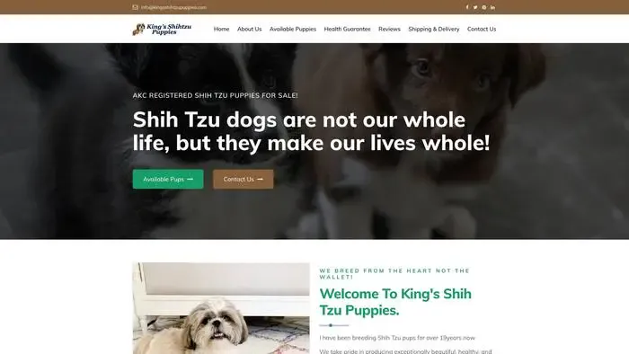 Screenshot of