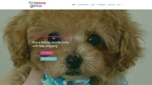 Screenshot of
