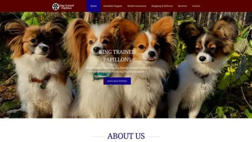 Screenshot of