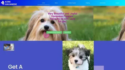 Screenshot of