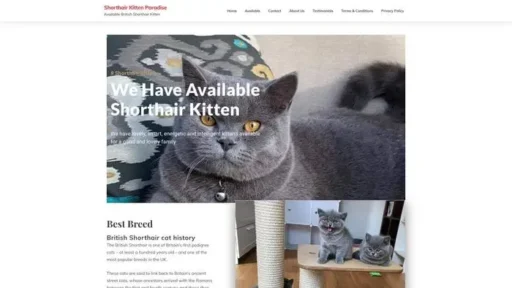 Screenshot of
