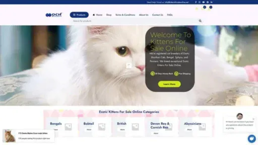 Screenshot of||