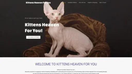 Screenshot of