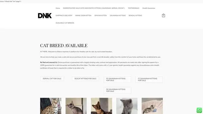Screenshot of