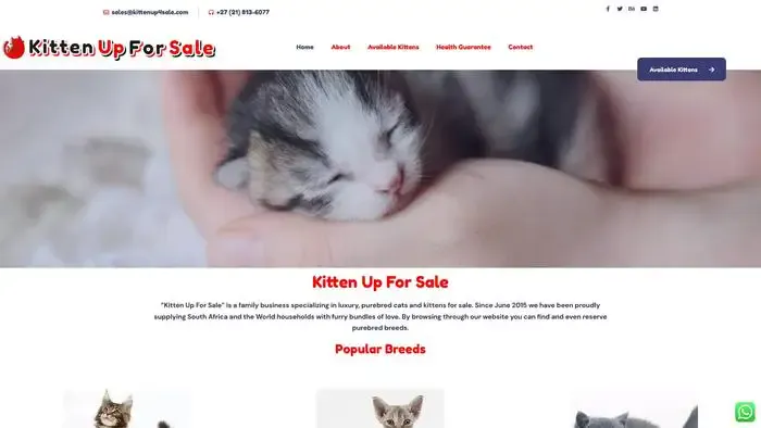 Screenshot of
