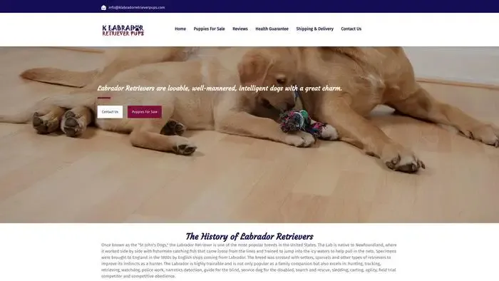 Screenshot of
