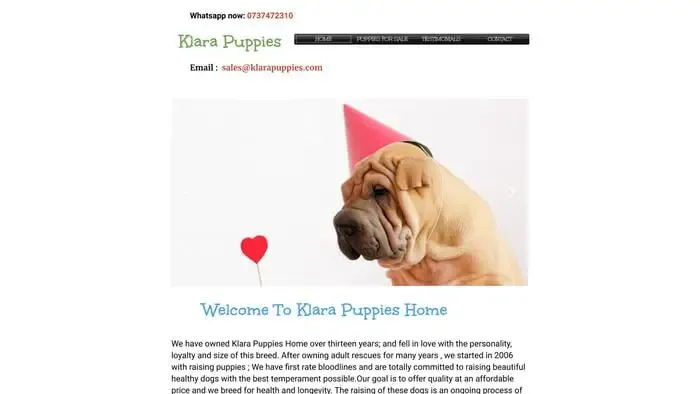 Screenshot of