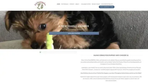Screenshot of