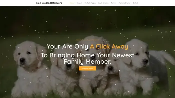 Screenshot of