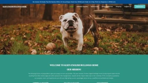 Screenshot of||