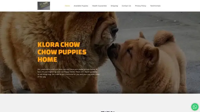 Screenshot of
