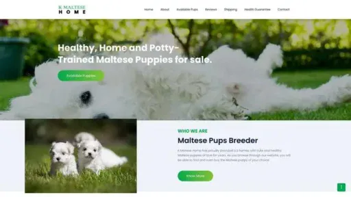 Screenshot of