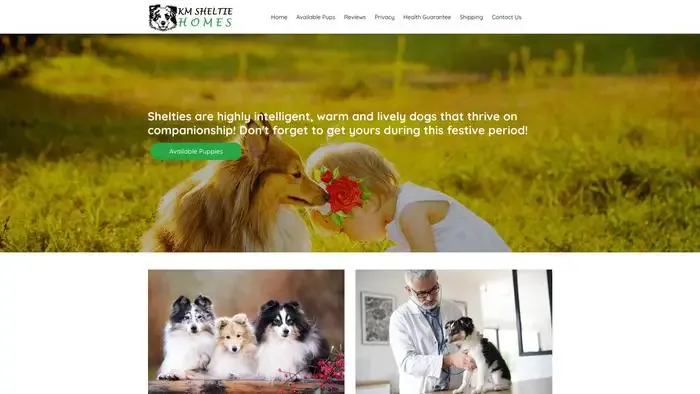 Screenshot of
