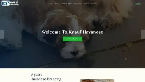 Screenshot of