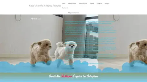 Screenshot of