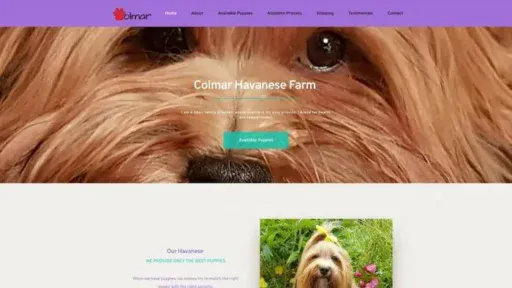 Screenshot of