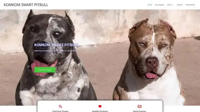 Screenshot of