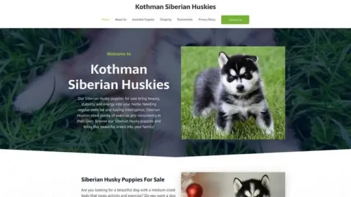 Screenshot of
