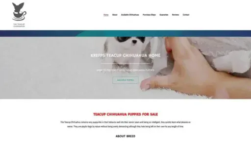 Screenshot of