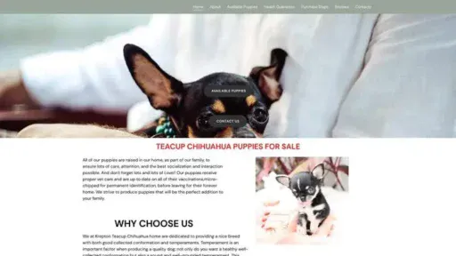 Screenshot of