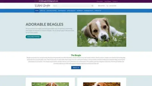 Screenshot of