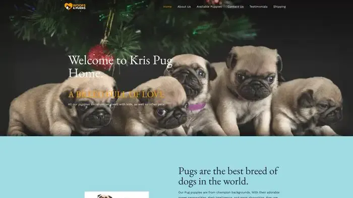 Screenshot of