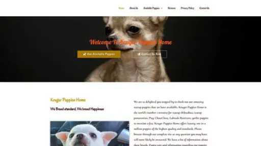 Screenshot of