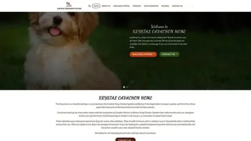 Screenshot of