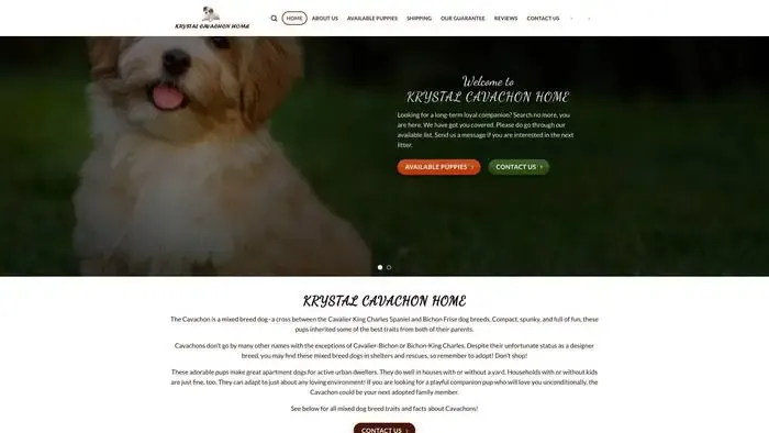 Screenshot of