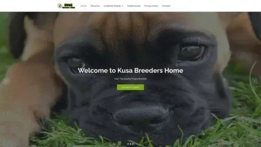 Screenshot of