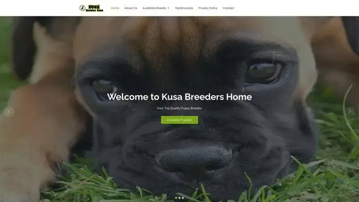 Screenshot of