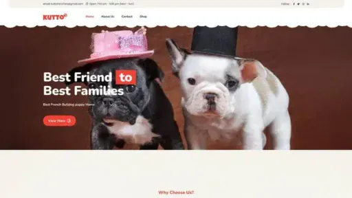 Screenshot of