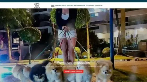 Screenshot of||