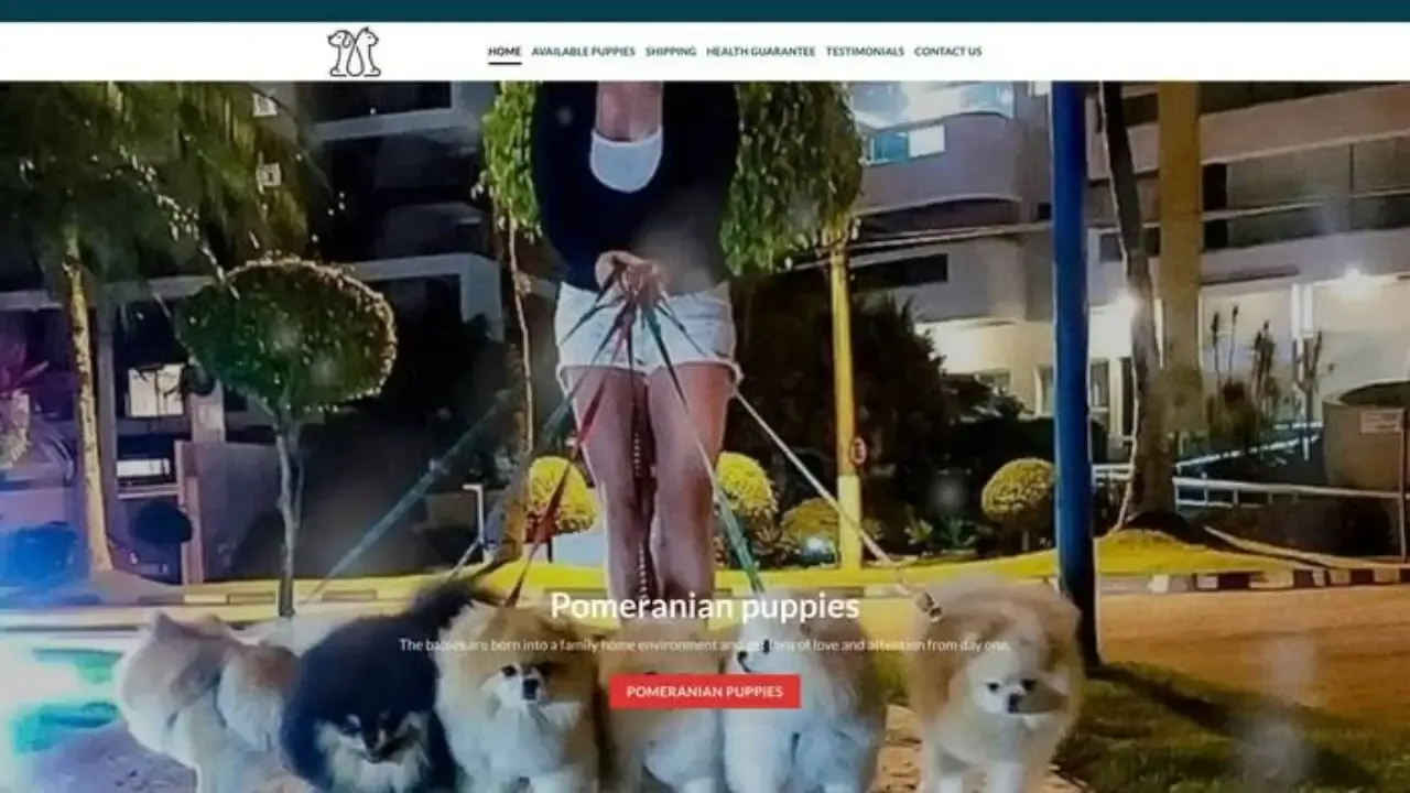 Kuttypomerian