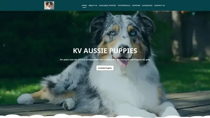 Screenshot of