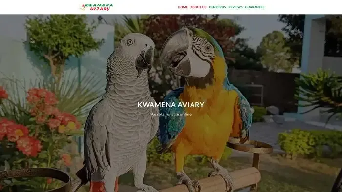 Screenshot of